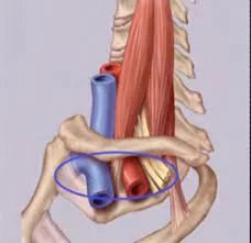 Les pièges et compressions vasculaires