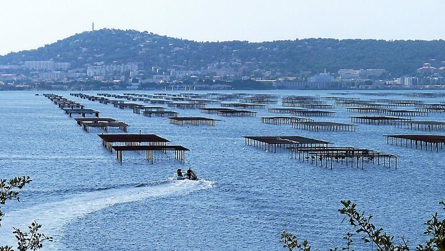 Balaruc-les-Bains, bassin de Thau